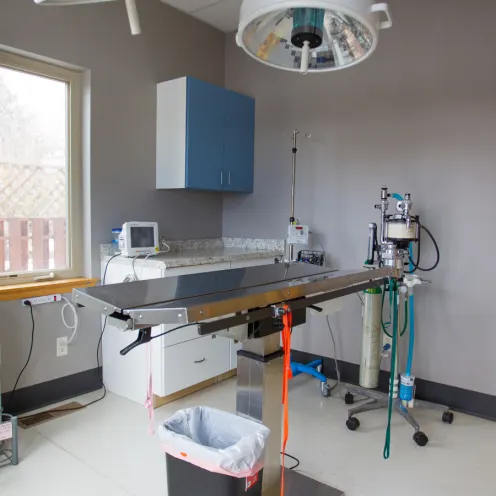 Surgery room with metal table and equipment